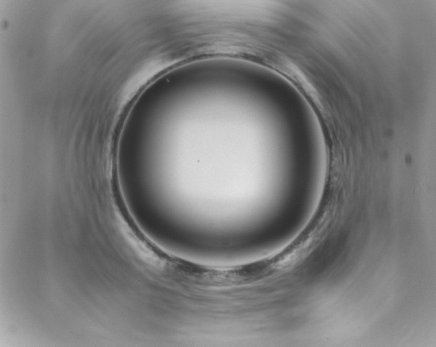 X0000089410795200706151250