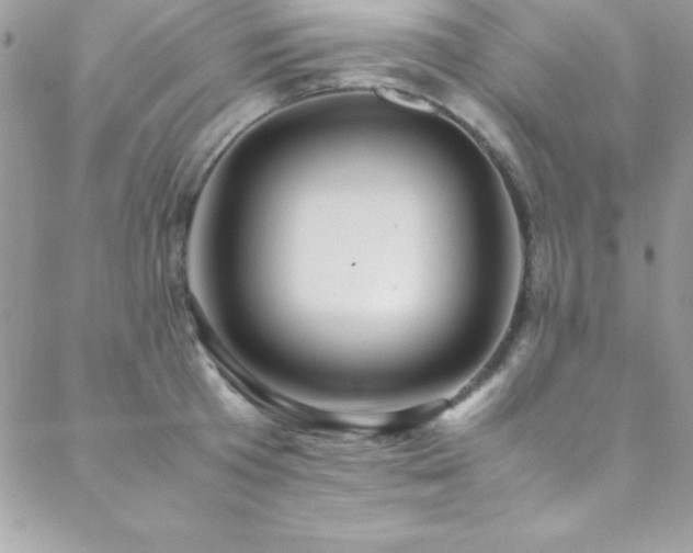 X0000089410801200706151250
