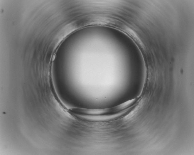 X0000089410802200706151250