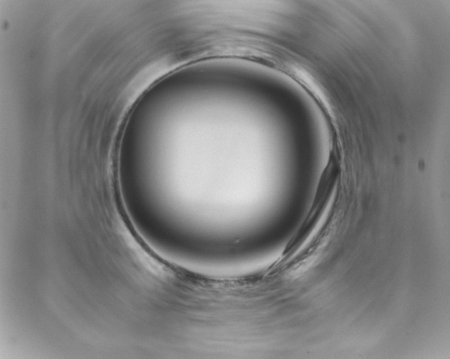 X0000089410803200706151250