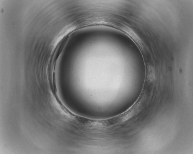 X0000089410806200706151250