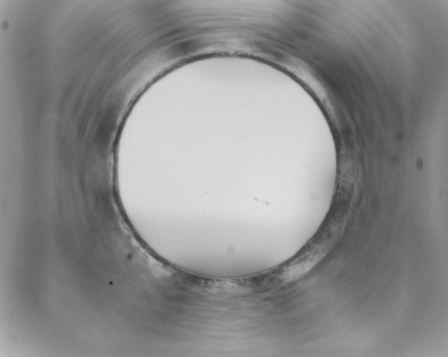 X0000089410807200706151250