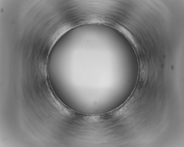 X0000089410810200706151250