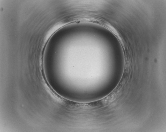 X0000089410811200706151250