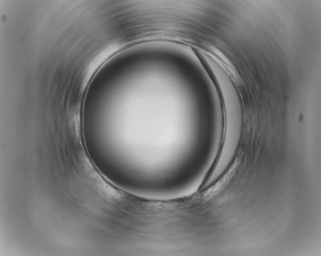 X0000089410812200706151250