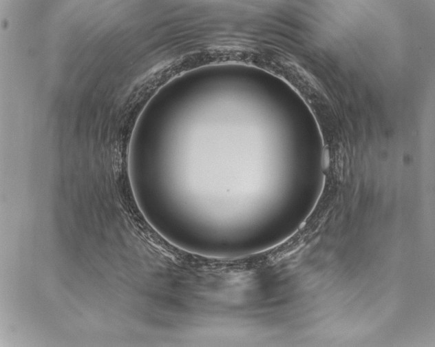 X0000089410821200706151249
