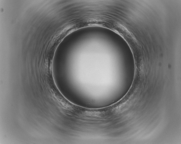 X0000089410825200706151249