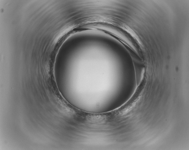 X0000089410826200706151249