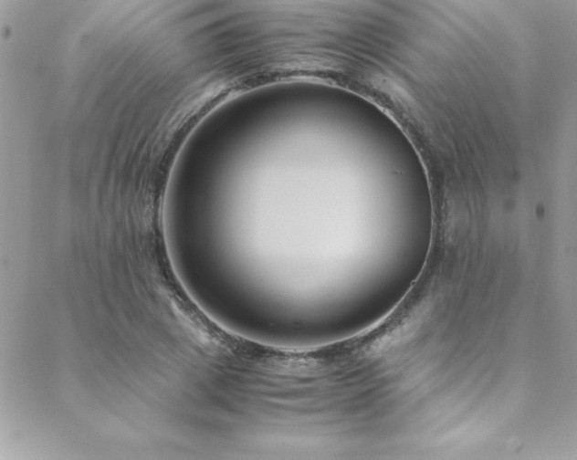 X0000089410833200706151249
