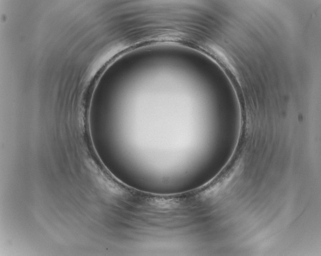 X0000089410835200706151249