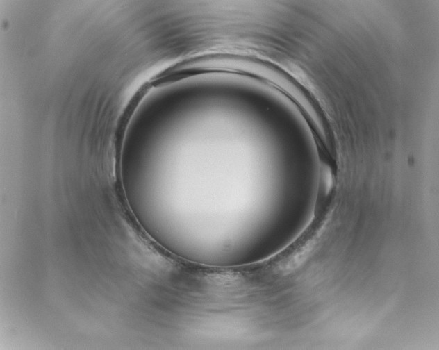X0000089410838200706151249