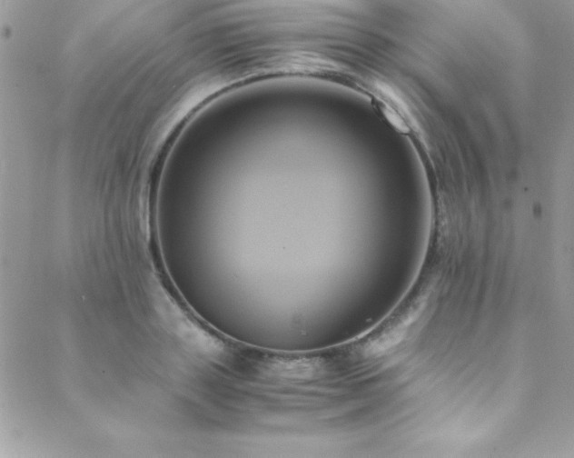 X0000089410843200706151250