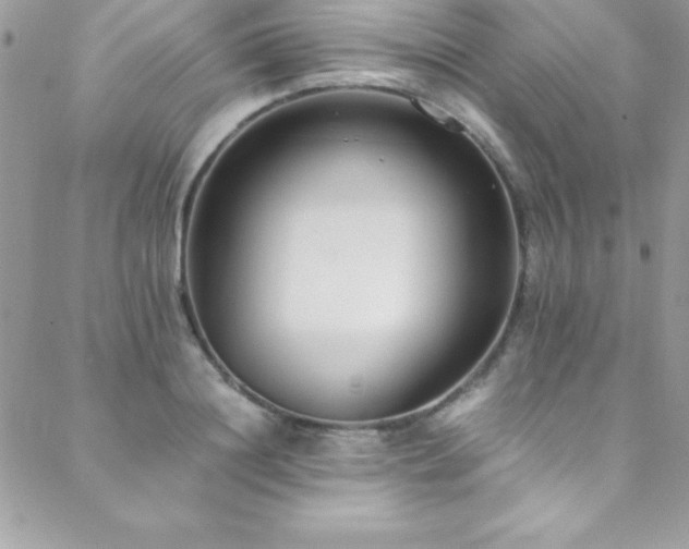 X0000089410844200706151250