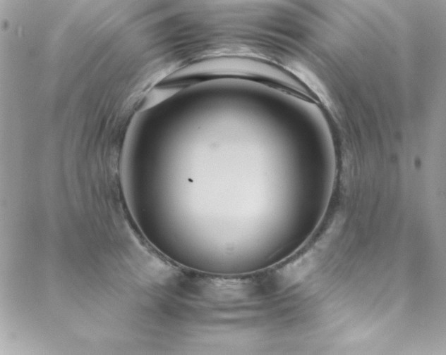 X0000089410849200706151250