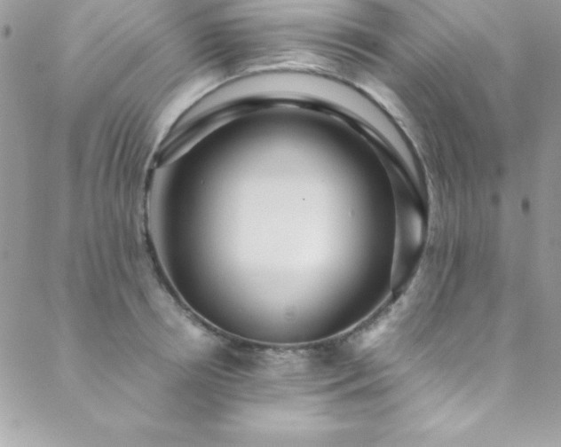 X0000089410850200706151250