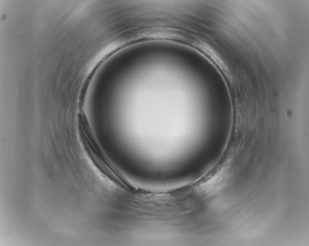 X0000089410853200706151250