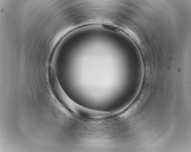 X0000089410854200706151250