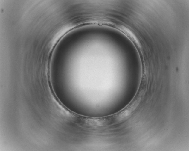 X0000089410855200706151250