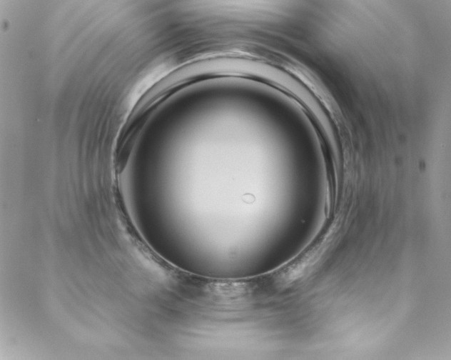 X0000089410858200706151250