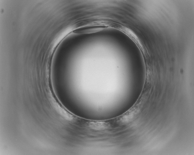 X0000089410859200706151250