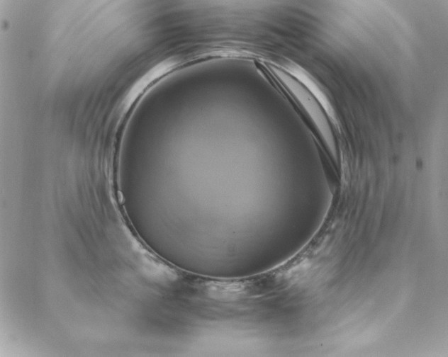 X0000089410861200706151250