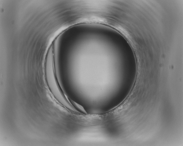 X0000089410864200706151250