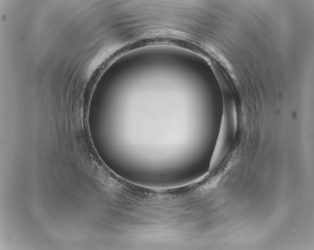 X0000089410877200706151249