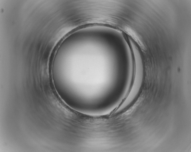 X0000089410884200706151249