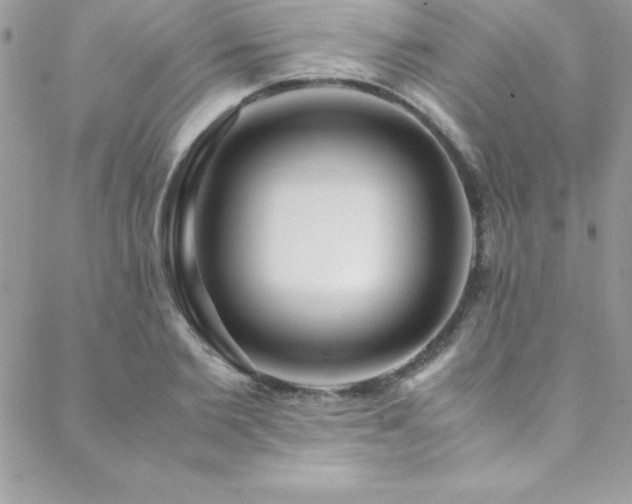 X0000089410885200706151249