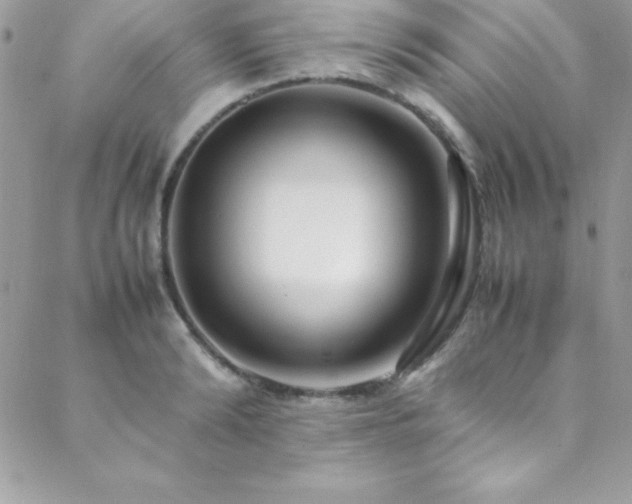 X0000089410894200706151249