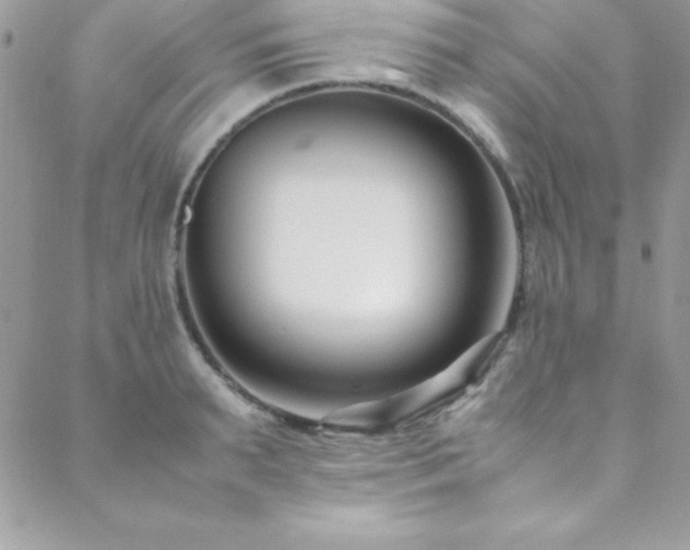 X0000089410895200706151249
