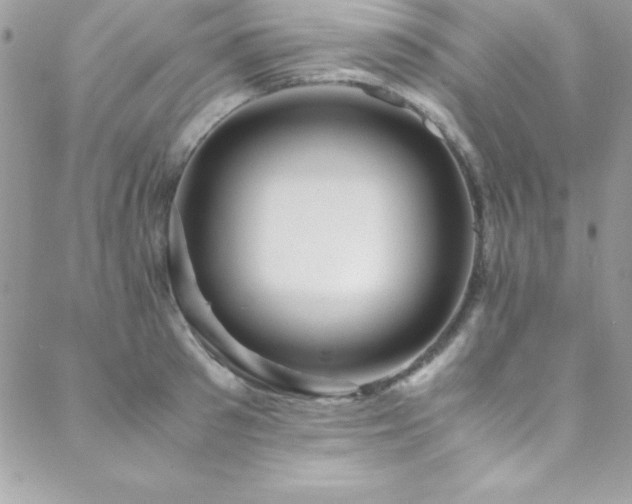X0000089410897200706151249