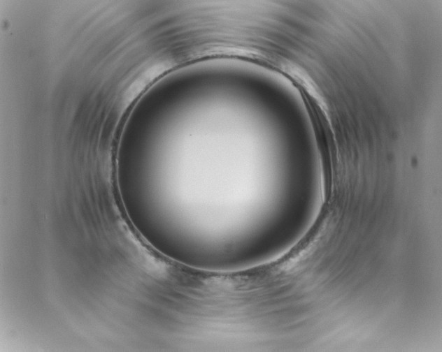 X0000089410898200706151249