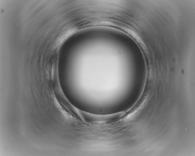 X0000089410905200706151248