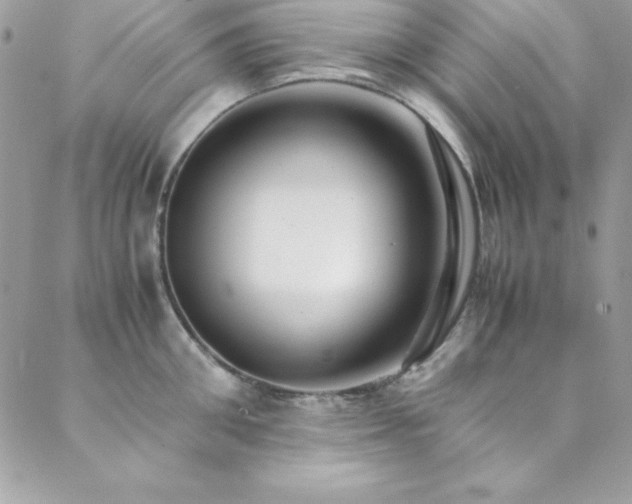 X0000089410906200706151248