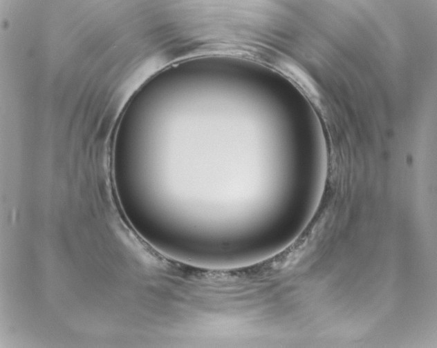 X0000089410907200706151248
