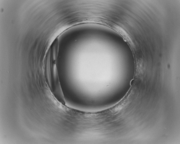 X0000089410908200706151248