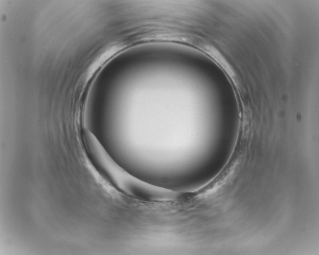 X0000089410909200706151248