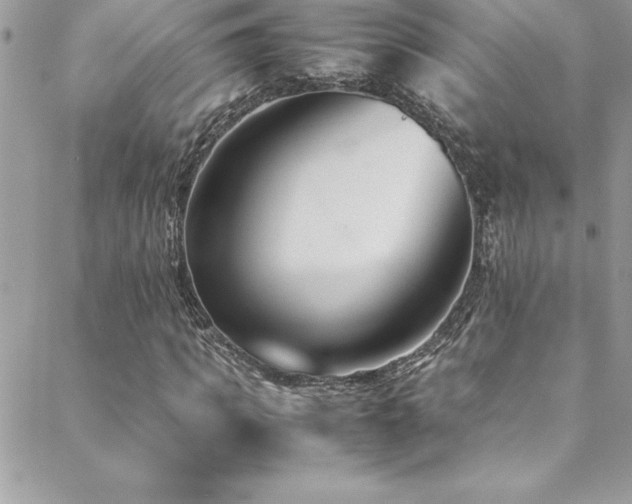 X0000089410917200706151248