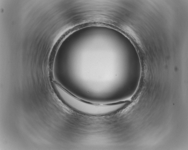 X0000089410924200706151248