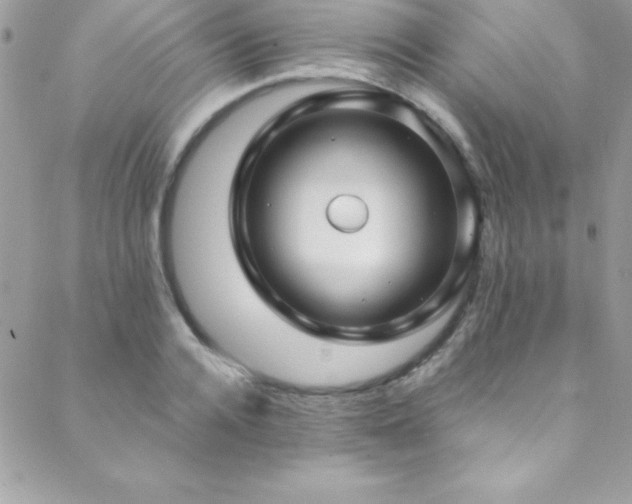 X0000089410936200706151248