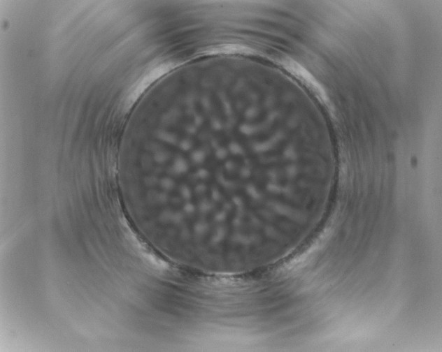X0000089410945200706151248