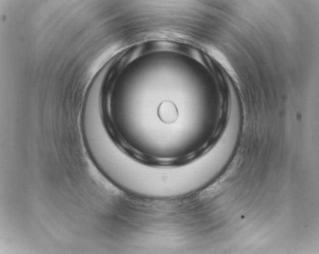 X0000089410946200706151248