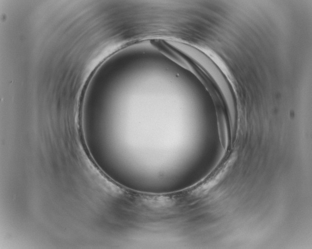 X0000089410957200706151248