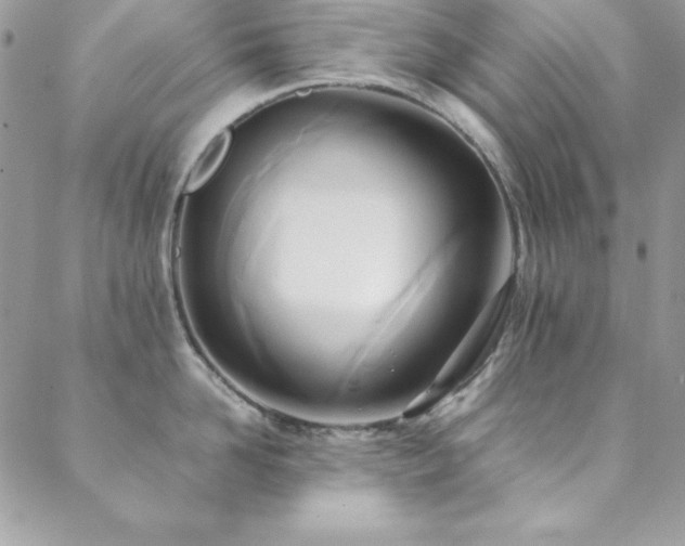 X0000089410958200706151248