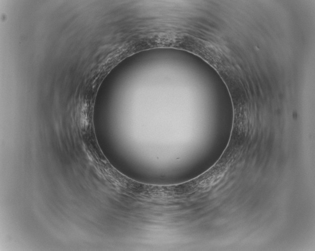 X0000089410962200706151248