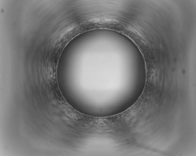 X0000089410966200706151247