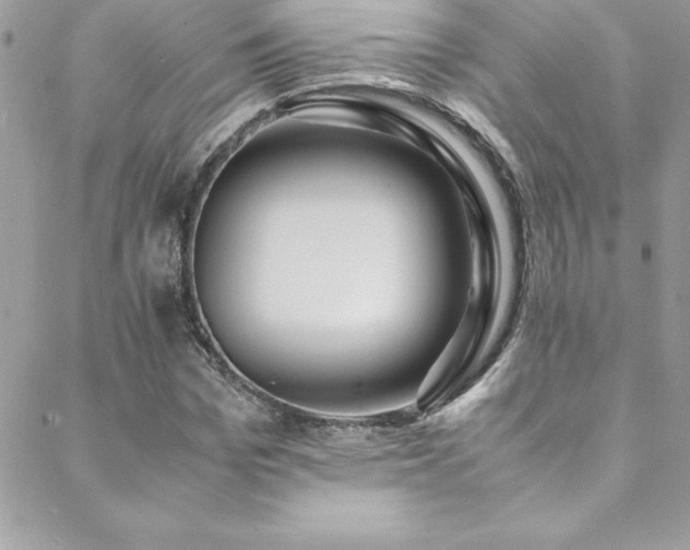 X0000089410969200706151247