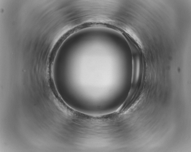 X0000089410976200706151247