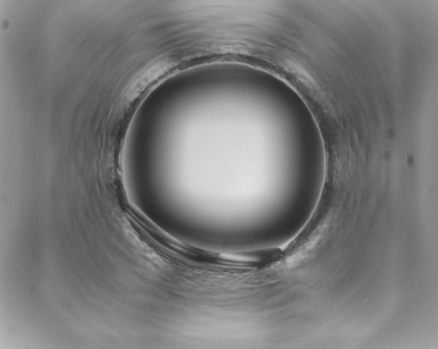 X0000089410977200706151247